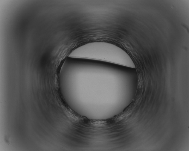 X0000093220670200709261447