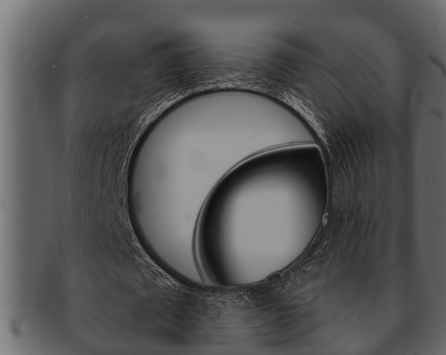 X0000093220673200709261446
