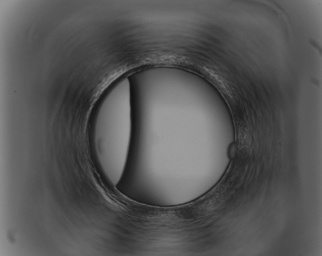 X0000093220674200709261446