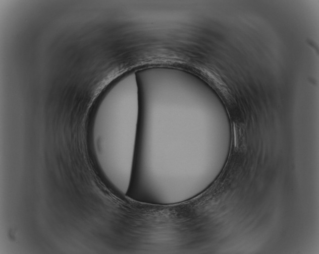 X0000093220675200709261446