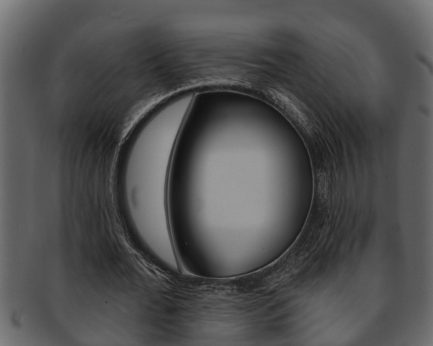 X0000093220676200709261446