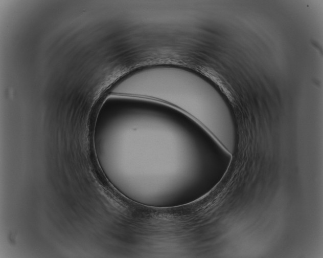 X0000093220677200709261446