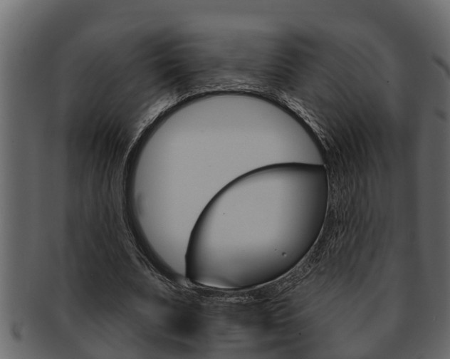 X0000093220679200709261446