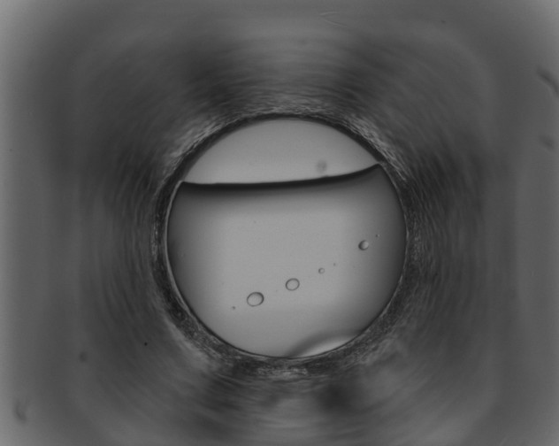 X0000093220683200709261446
