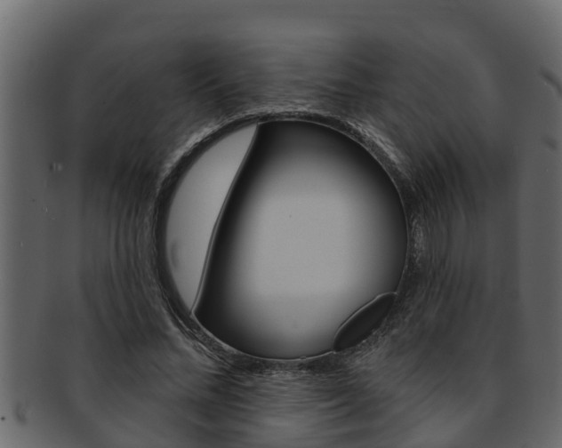 X0000093220684200709261446