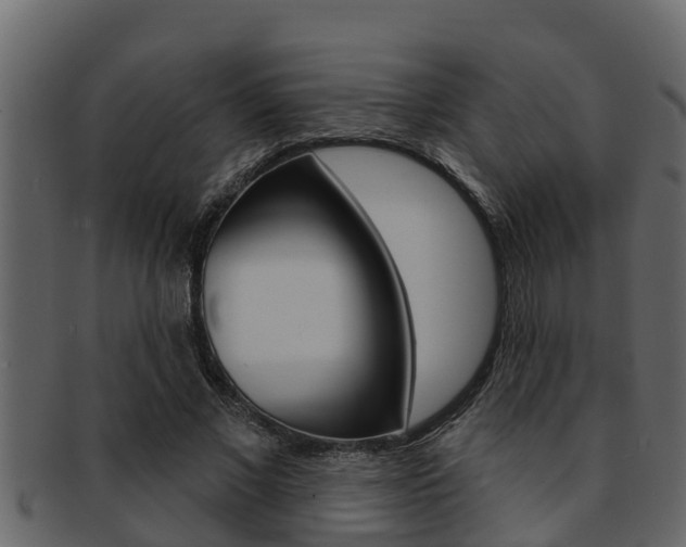 X0000093220685200709261446