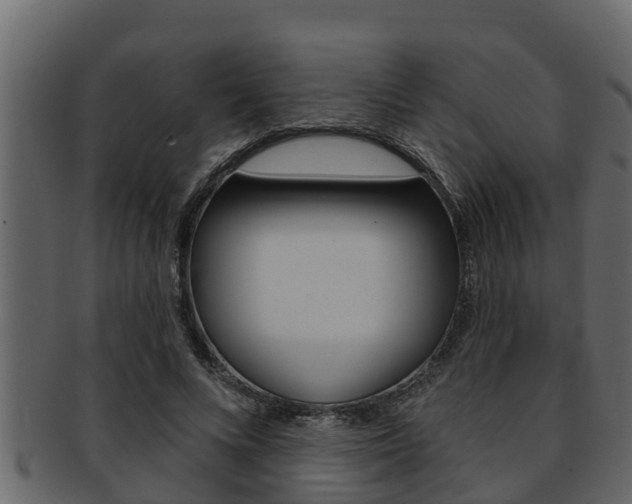 X0000093220688200709261446