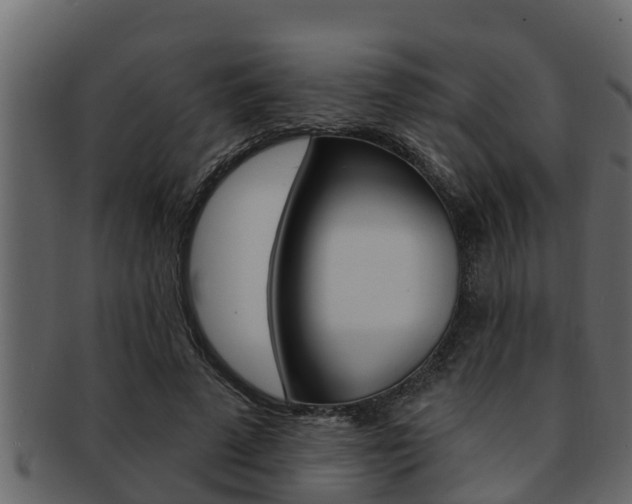 X0000093220689200709261446