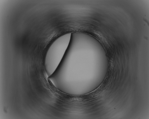 X0000093220691200709261446