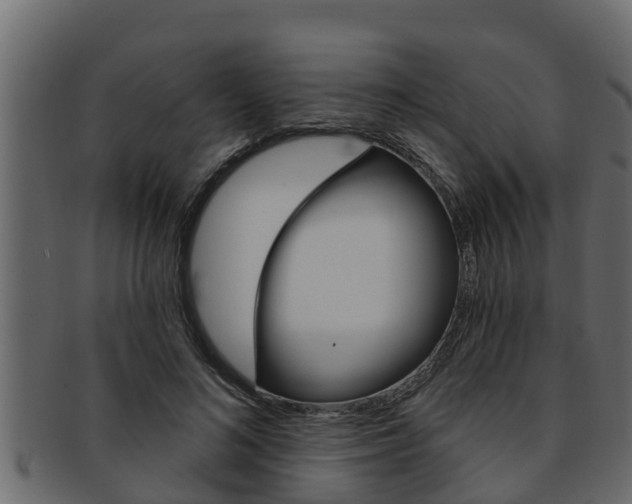 X0000093220692200709261446