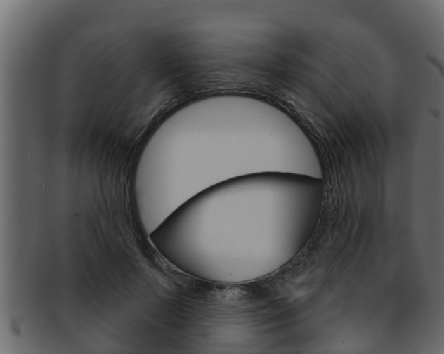 X0000093220695200709261446