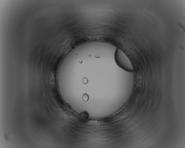X0000093220699200709261446