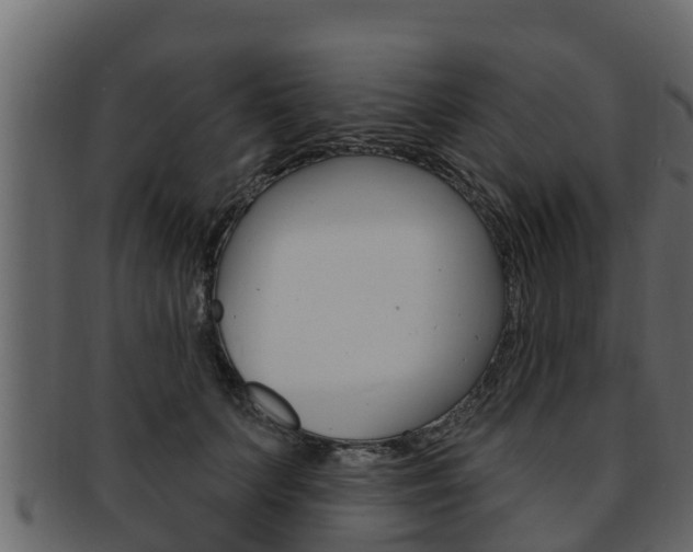 X0000093220703200709261446