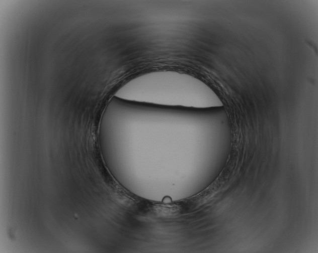 X0000093220707200709261446