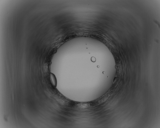 X0000093220711200709261446