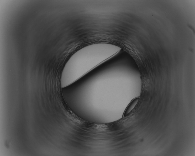 X0000093220719200709261446