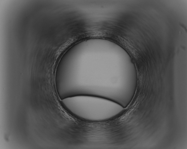 X0000093220721200709261445