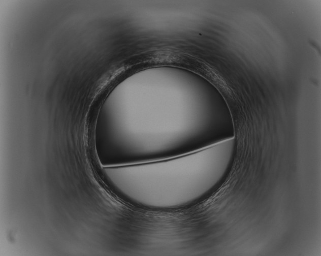 X0000093220722200709261445
