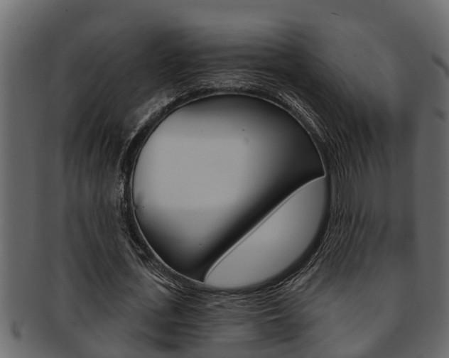 X0000093220723200709261445