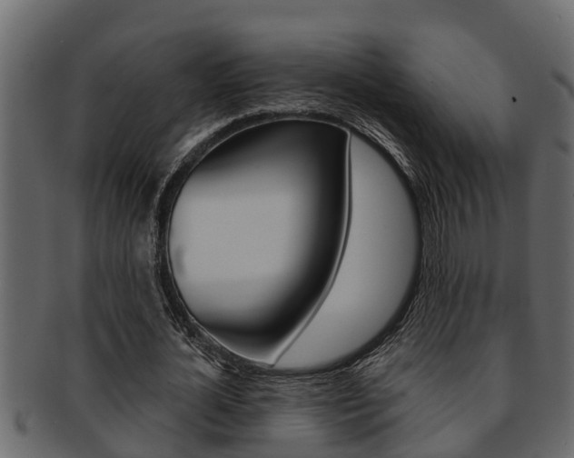 X0000093220724200709261445