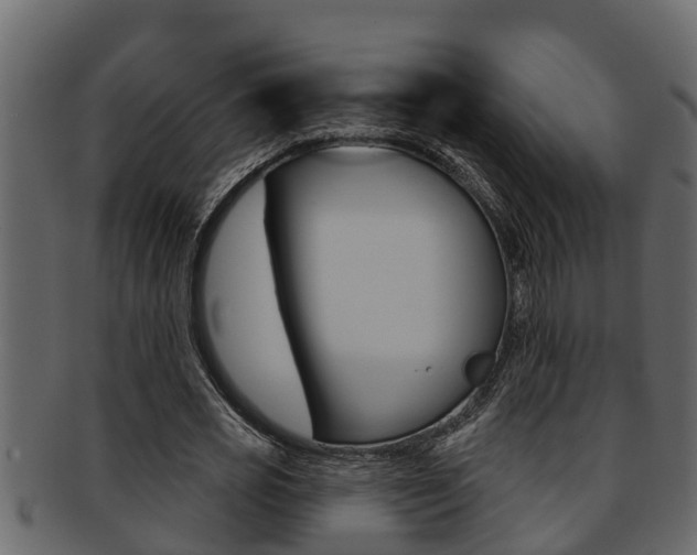 X0000093220725200709261445