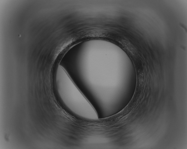 X0000093220727200709261445