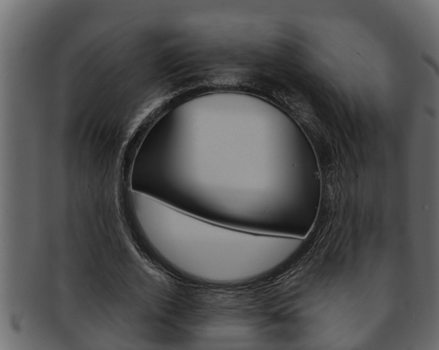 X0000093220728200709261445
