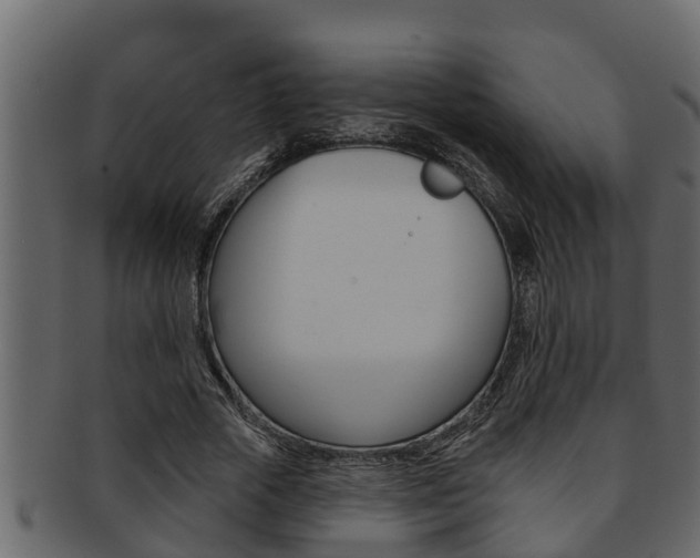 X0000093220729200709261445