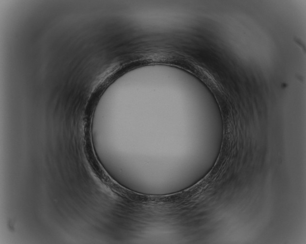 X0000093220730200709261445