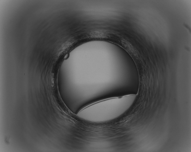 X0000093220731200709261445