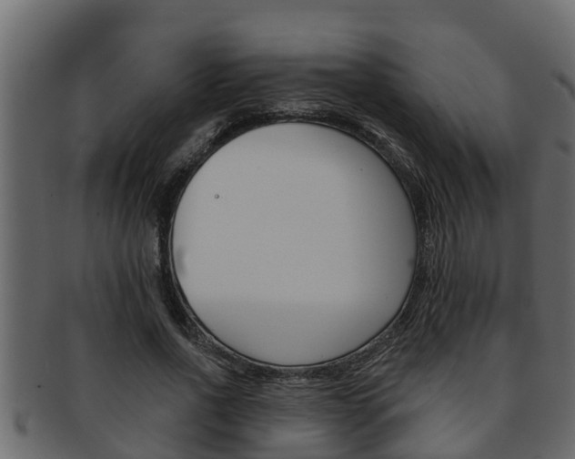 X0000093220734200709261445