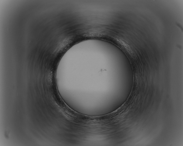 X0000093220735200709261445