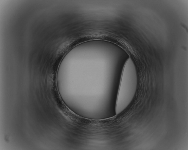 X0000093220736200709261445