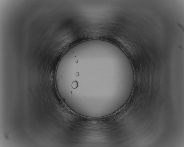 X0000093220737200709261445