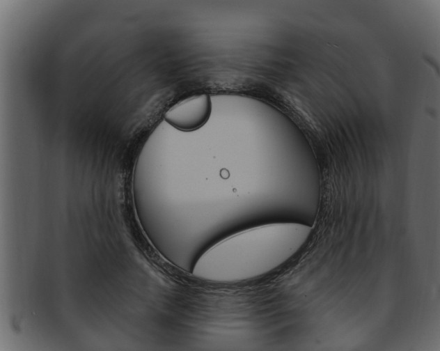 X0000093220738200709261445