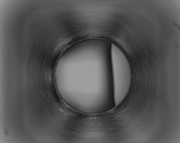 X0000093220740200709261445