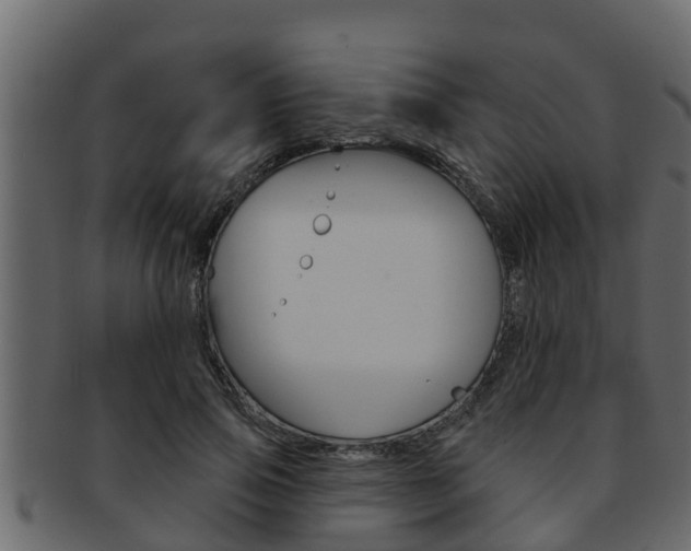 X0000093220741200709261445
