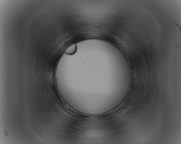 X0000093220745200709261445