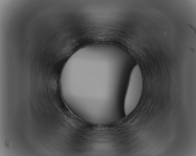 X0000093220746200709261445