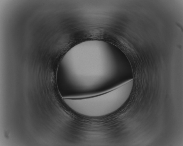 X0000093220748200709261445