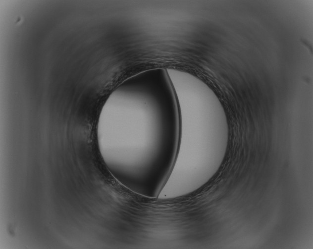 X0000093220750200709261445