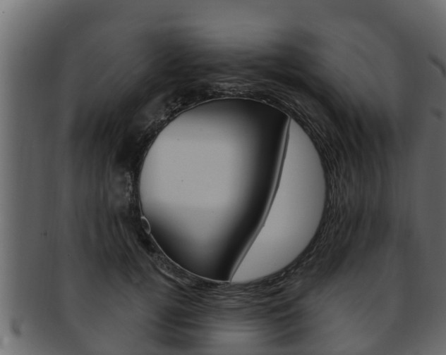 X0000093220752200709261445