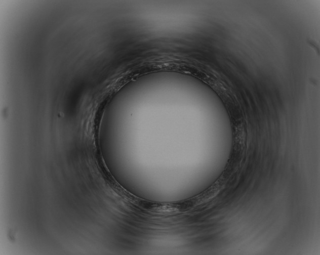 X0000093220754200709261445