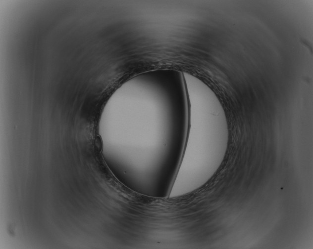 X0000093220756200709261445