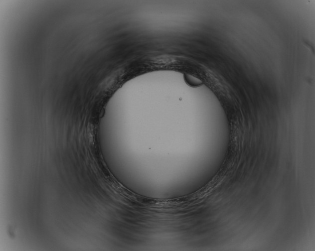 X0000093220758200709261445
