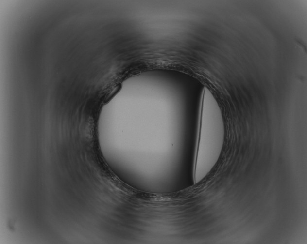 X0000093220760200709261445
