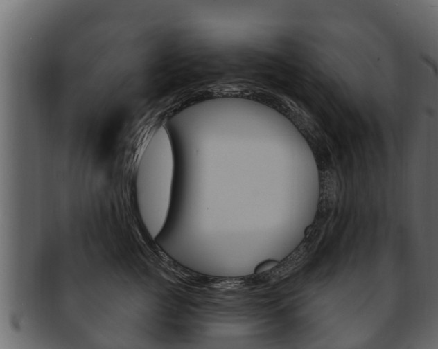X0000093220761200709261446