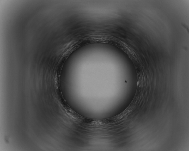 X0000093220764200709261446