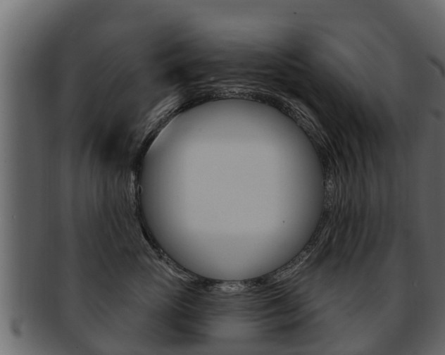 X0000093220765200709261446