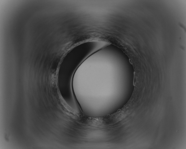 X0000093220768200709261446